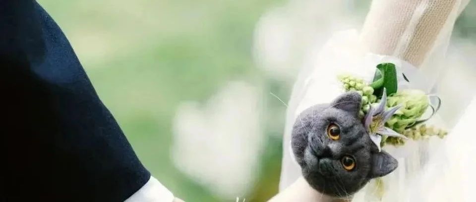 內卷不斷加??！行業(yè)迎“雙春年”結婚熱潮！